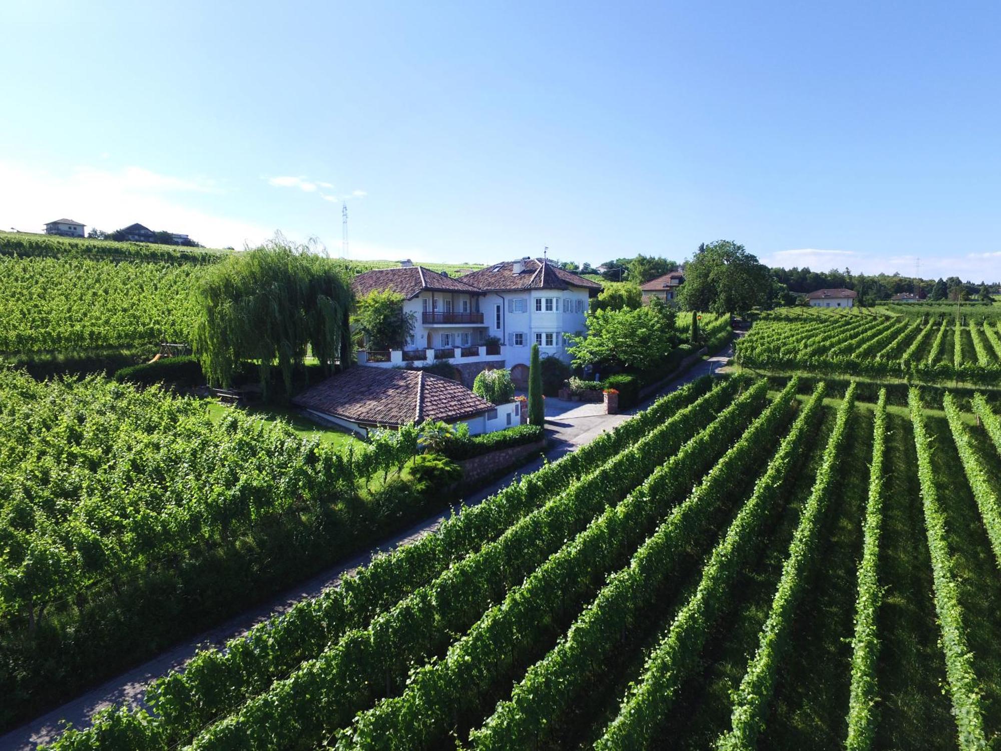 Apartmán Weinhof Mumelter Appiano Sulla Strada Del Vino Exteriér fotografie